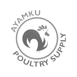 ayamku.png